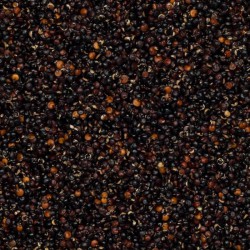 Zwarte quinoa
