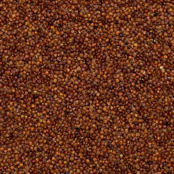 Rode quinoa