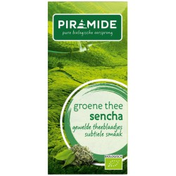 Piramide groene thee sencha